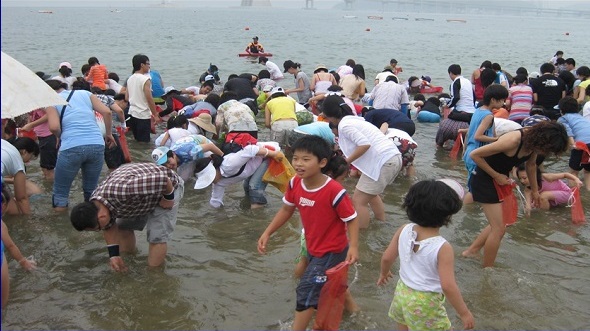 8-1-1 수영구 조개잡이행사.jpg