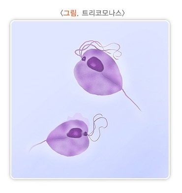 17-3 건강칼럼-예화인여성의원.jpg